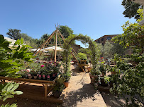 Trindle Stores