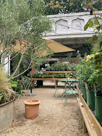 Trindle Stores
