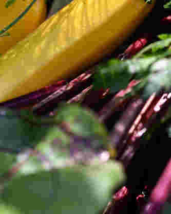Nettle — b71e0f67d964d9ee
