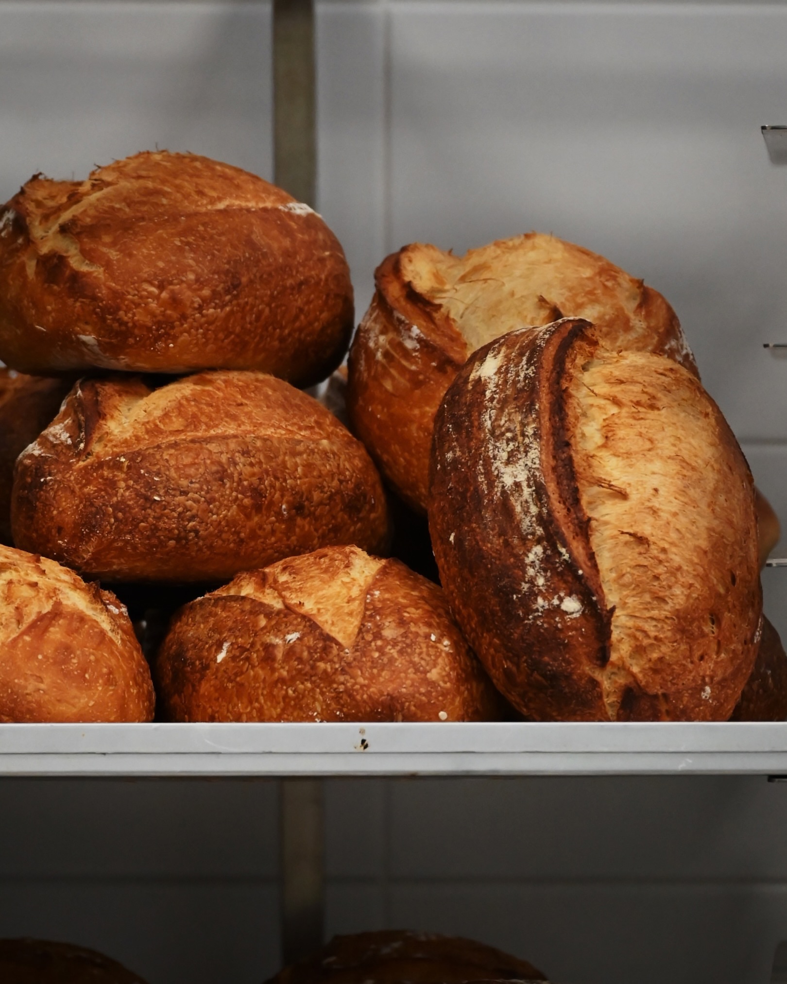 Bandit Bakery — banditbakerygr