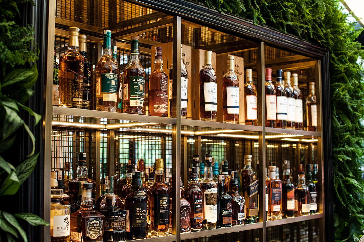 The room at The Malt İstanbul