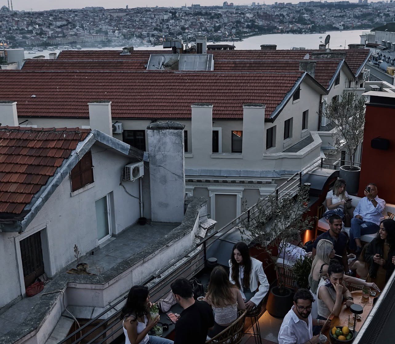 Tone İstanbul — Müdavim